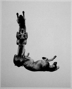 Image description is not available for 2001.070